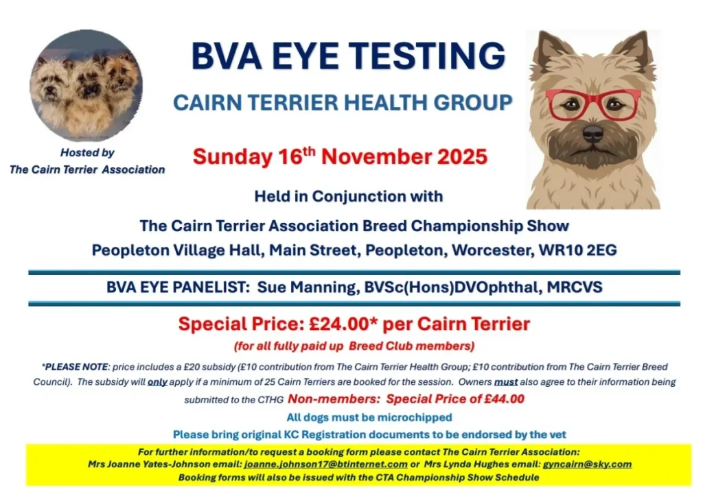 BVA Eye Testing