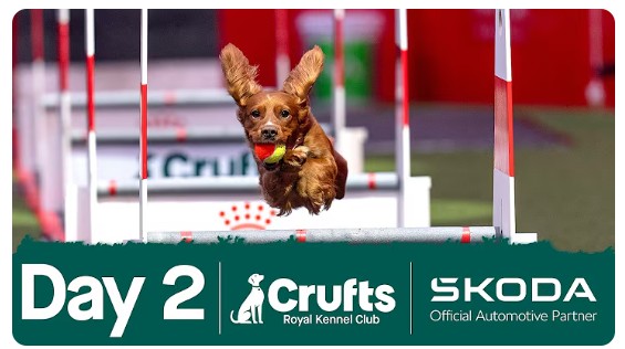 Screenshot 2026 03 06 083324