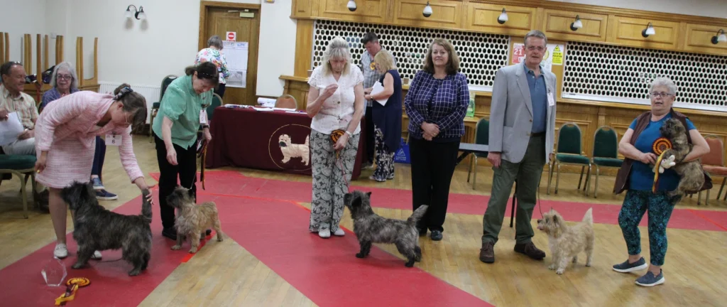 BD & BIS Carradine Kiss My Ace, BB, ROS & RBIS Carradine Hazel Moon, BPIS Wonerpaws Darth Vader, Judge Marion Sargent, BV Cairngold Brandy Snap by Jorvikairn, BPB Lindcoly Hey Good Lookin NAF